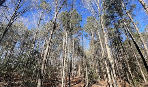 Photo #30 of SOLD property in Off Orchard Road, Elm City, NC 49.0 acres