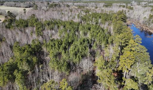 Photo #19 of SOLD property in Off Perkins Rd., Petersburg, VA 22.0 acres