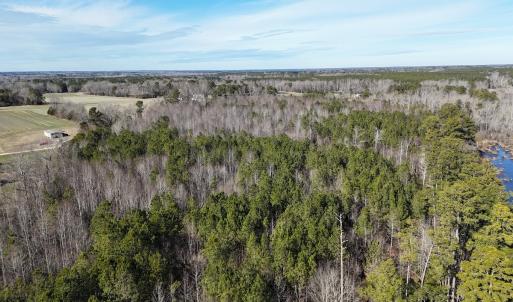 Photo #20 of SOLD property in Off Perkins Rd., Petersburg, VA 22.0 acres