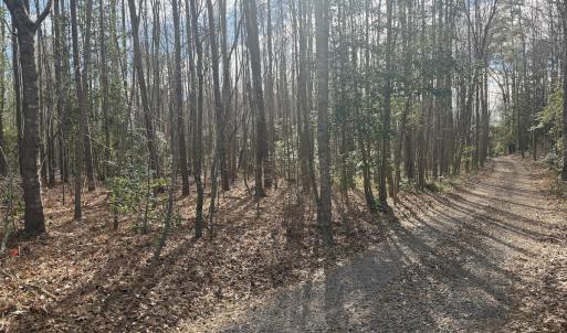 Photo #21 of SOLD property in Off Perkins Rd., Petersburg, VA 22.0 acres