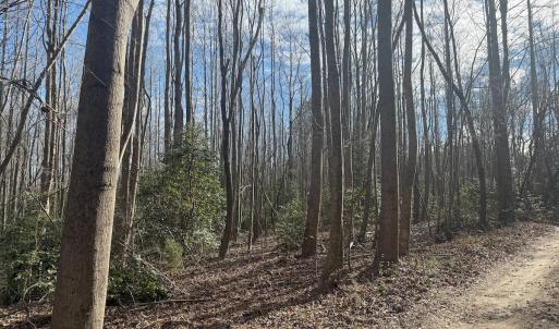 Photo #22 of SOLD property in Off Perkins Rd., Petersburg, VA 22.0 acres