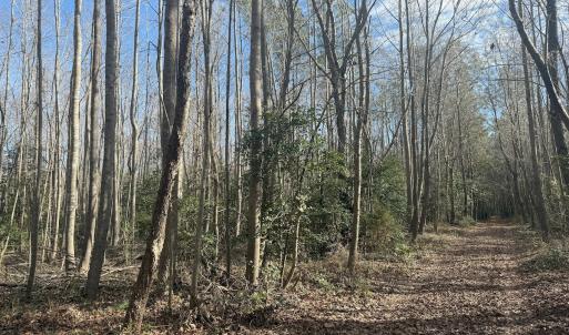 Photo #23 of SOLD property in Off Perkins Rd., Petersburg, VA 22.0 acres