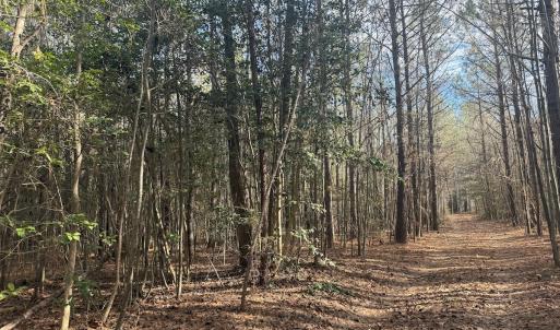 Photo #24 of SOLD property in Off Perkins Rd., Petersburg, VA 22.0 acres