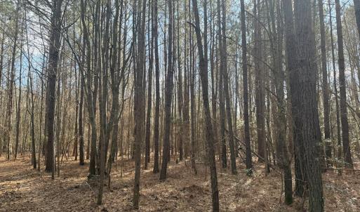 Photo #25 of SOLD property in Off Perkins Rd., Petersburg, VA 22.0 acres