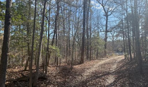 Photo #26 of SOLD property in Off Perkins Rd., Petersburg, VA 22.0 acres