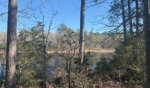 Photo #27 of SOLD property in Off Perkins Rd., Petersburg, VA 22.0 acres