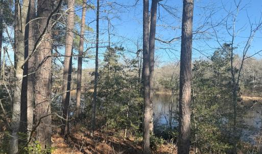 Photo #28 of SOLD property in Off Perkins Rd., Petersburg, VA 22.0 acres
