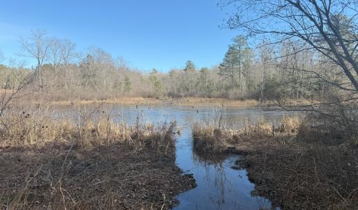 Photo #31 of SOLD property in Off Perkins Rd., Petersburg, VA 22.0 acres