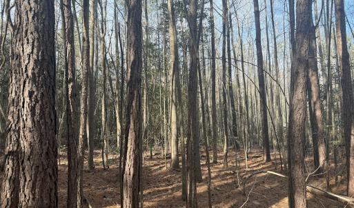 Photo #32 of SOLD property in Off Perkins Rd., Petersburg, VA 22.0 acres