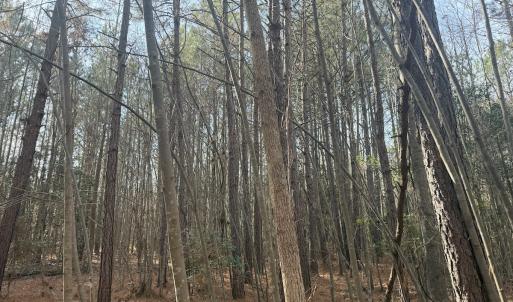 Photo #33 of SOLD property in Off Perkins Rd., Petersburg, VA 22.0 acres