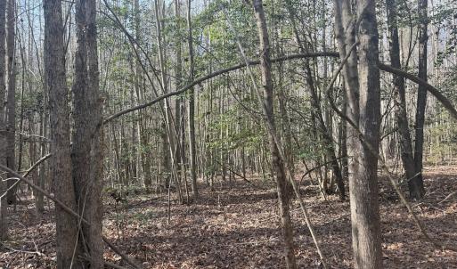 Photo #34 of SOLD property in Off Perkins Rd., Petersburg, VA 22.0 acres