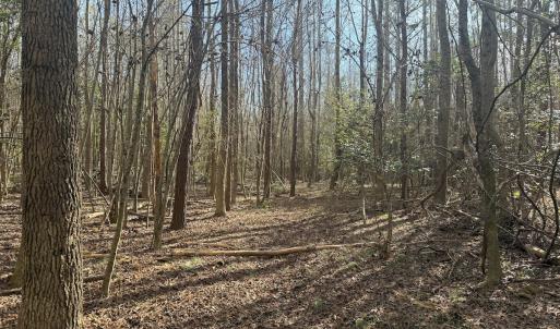 Photo #35 of SOLD property in Off Perkins Rd., Petersburg, VA 22.0 acres