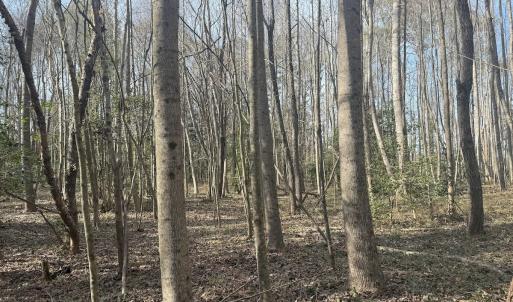 Photo #36 of SOLD property in Off Perkins Rd., Petersburg, VA 22.0 acres