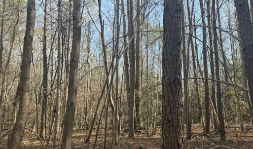 Photo #37 of SOLD property in Off Perkins Rd., Petersburg, VA 22.0 acres