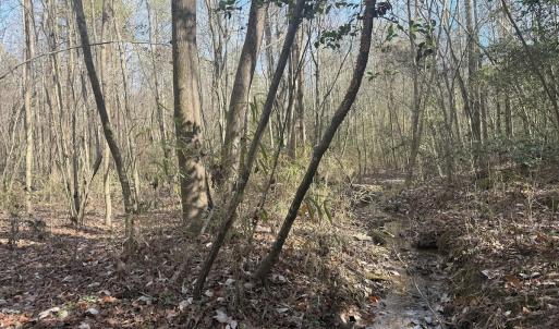 Photo #38 of SOLD property in Off Perkins Rd., Petersburg, VA 22.0 acres