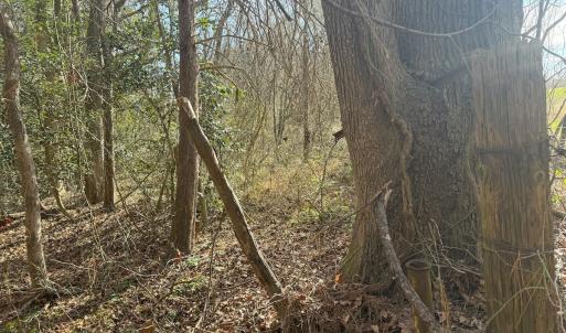 Photo #39 of SOLD property in Off Perkins Rd., Petersburg, VA 22.0 acres