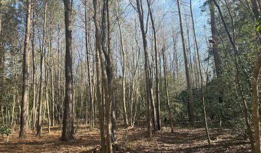 Photo #40 of SOLD property in Off Perkins Rd., Petersburg, VA 22.0 acres