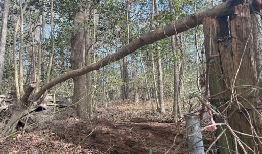 Photo #41 of SOLD property in Off Perkins Rd., Petersburg, VA 22.0 acres