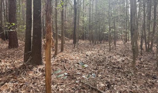 Photo #43 of SOLD property in Off Perkins Rd., Petersburg, VA 22.0 acres