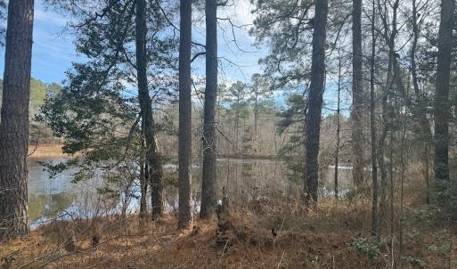 Photo #44 of SOLD property in Off Perkins Rd., Petersburg, VA 22.0 acres