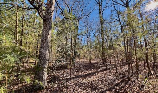 Photo #12 of 118 Candor Oaks Drive, New London, NC 0.5 acres