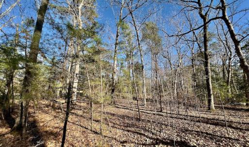 Photo #13 of 118 Candor Oaks Drive, New London, NC 0.5 acres