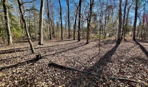 Photo #14 of 118 Candor Oaks Drive, New London, NC 0.5 acres