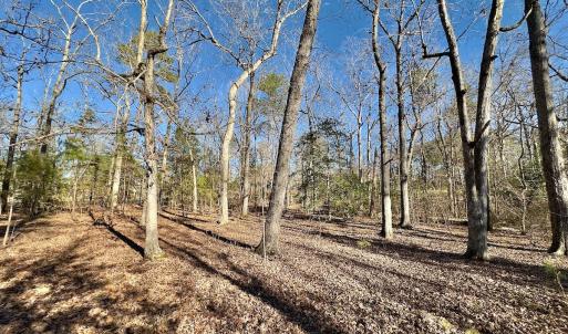 Photo #15 of 118 Candor Oaks Drive, New London, NC 0.5 acres