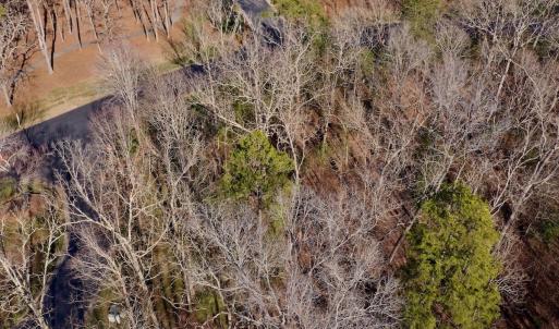 Photo #18 of 118 Candor Oaks Drive, New London, NC 0.5 acres