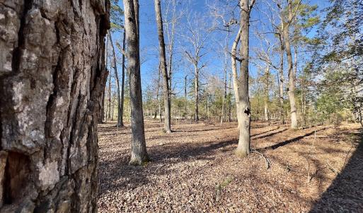 Photo #23 of 118 Candor Oaks Drive, New London, NC 0.5 acres
