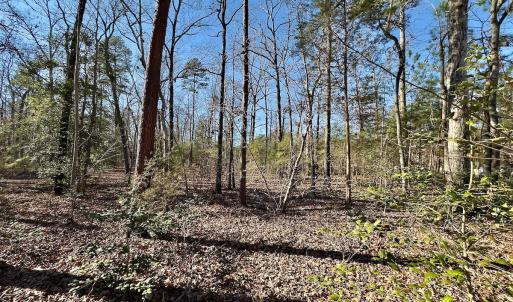 Photo #25 of 118 Candor Oaks Drive, New London, NC 0.5 acres