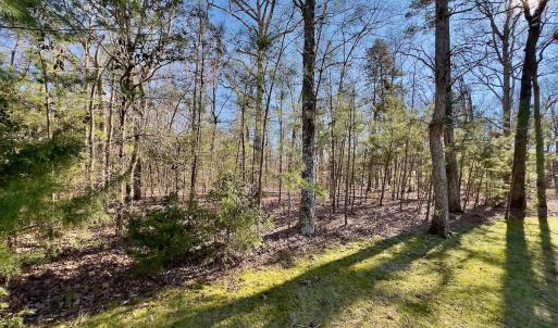 Photo #5 of 118 Candor Oaks Drive, New London, NC 0.5 acres