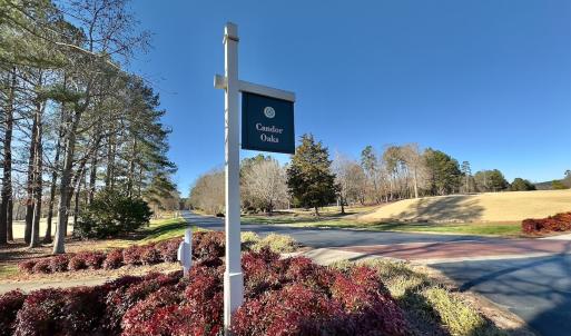Photo #7 of 118 Candor Oaks Drive, New London, NC 0.5 acres