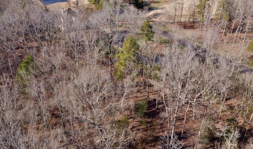 Photo #9 of 118 Candor Oaks Drive, New London, NC 0.5 acres