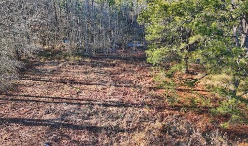 Photo #1 of SOLD property in Off Hwy 258, Rich Square , NC 0.7 acres