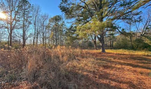 Photo #27 of SOLD property in Off Hwy 258, Rich Square , NC 0.7 acres