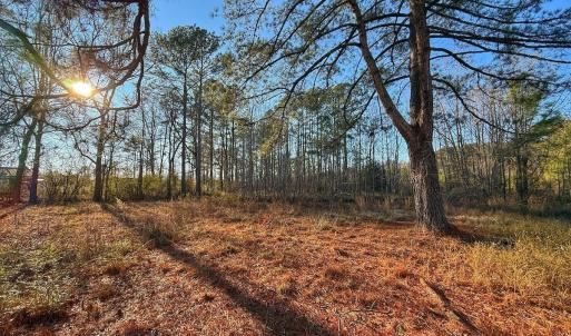 Photo #28 of SOLD property in Off Hwy 258, Rich Square , NC 0.7 acres