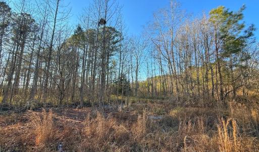 Photo #29 of SOLD property in Off Hwy 258, Rich Square , NC 0.7 acres