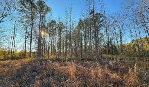 Photo #30 of SOLD property in Off Hwy 258, Rich Square , NC 0.7 acres
