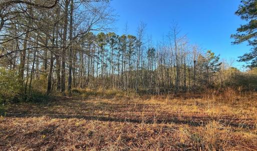 Photo #32 of SOLD property in Off Hwy 258, Rich Square , NC 0.7 acres