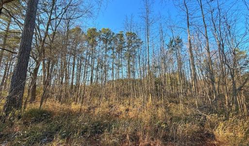 Photo #33 of SOLD property in Off Hwy 258, Rich Square , NC 0.7 acres