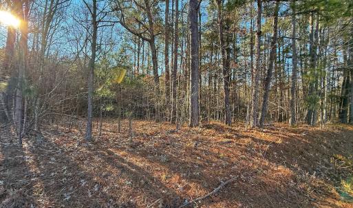 Photo #27 of 4325 Govenors Rd, Roxobel, NC 0.9 acres