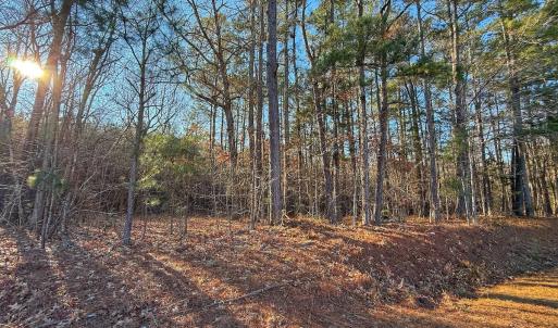 Photo #29 of 4325 Govenors Rd, Roxobel, NC 0.9 acres