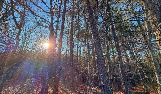 Photo #30 of 4325 Govenors Rd, Roxobel, NC 0.9 acres