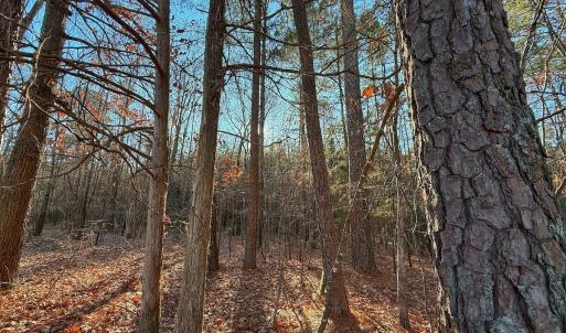 Photo #31 of 4325 Govenors Rd, Roxobel, NC 0.9 acres