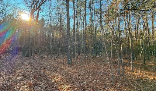 Photo #32 of 4325 Govenors Rd, Roxobel, NC 0.9 acres