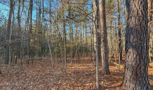 Photo #33 of 4325 Govenors Rd, Roxobel, NC 0.9 acres