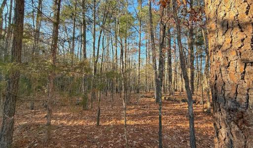 Photo #34 of 4325 Govenors Rd, Roxobel, NC 0.9 acres