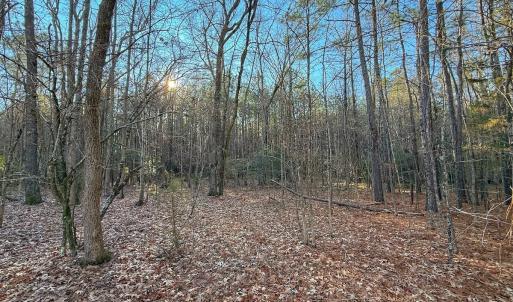 Photo #35 of 4325 Govenors Rd, Roxobel, NC 0.9 acres