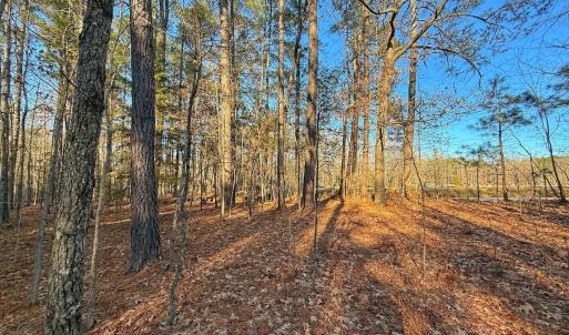 Photo #36 of 4325 Govenors Rd, Roxobel, NC 0.9 acres